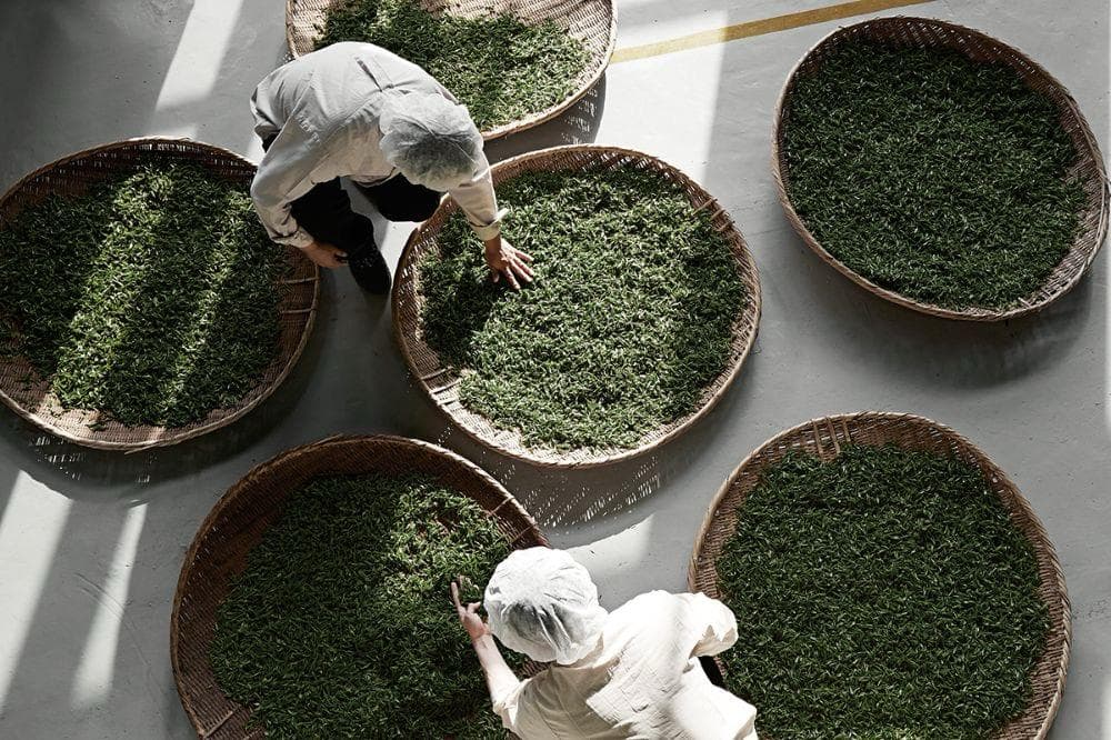 Premium Egyptian herbs and spices